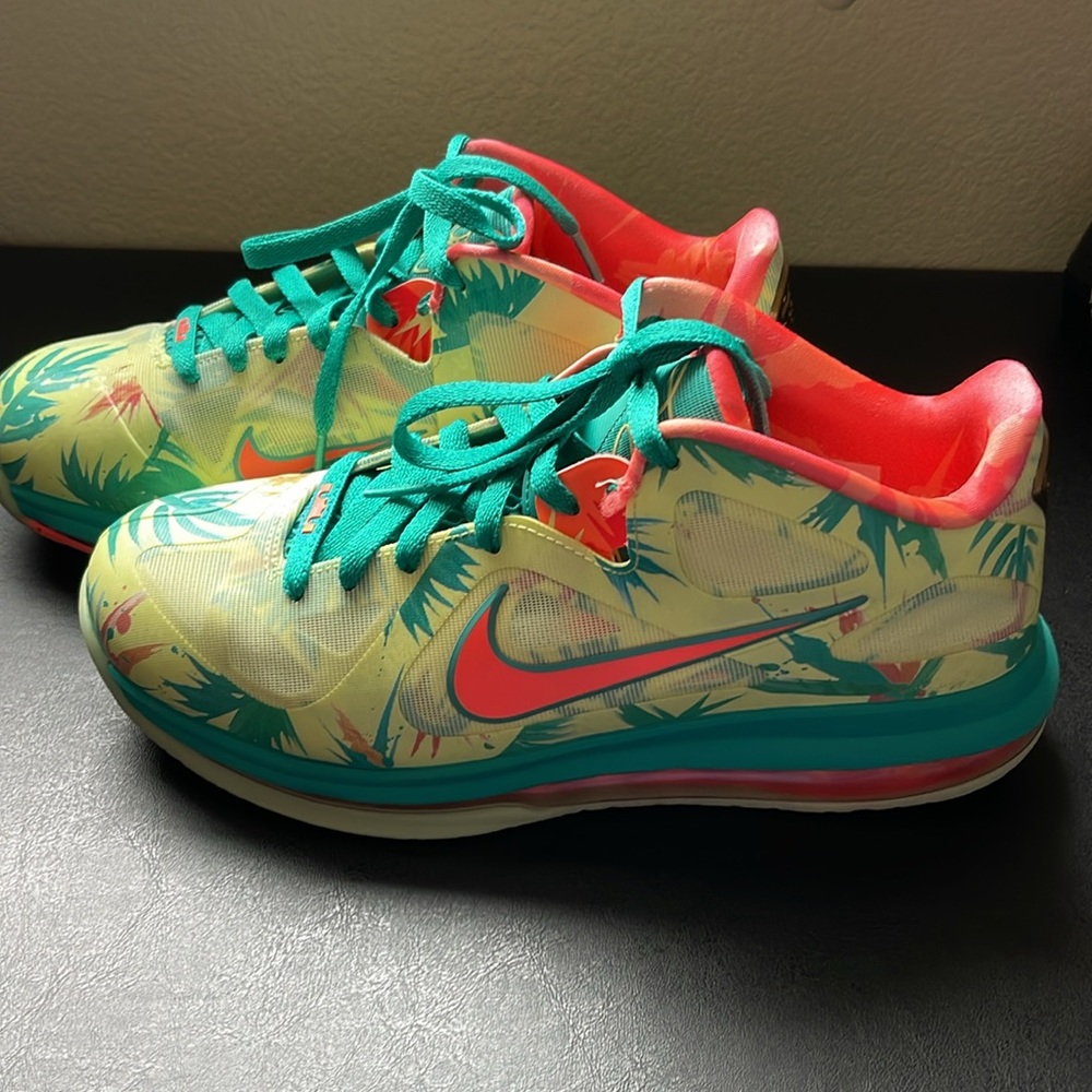 Nike LeBron 9 low